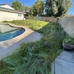 Before: Backyard with overgrown/unkempt weeds. Before: Backyard with overgrown/unkempt weeds.