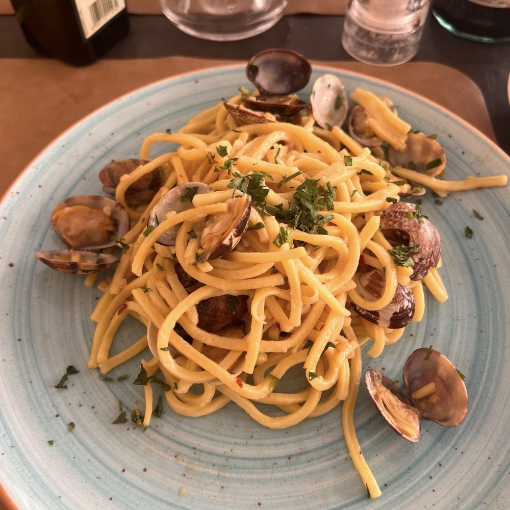 The New Schaff Herzog Encyclopedia Vol1 | PDF, image size:1000x1000