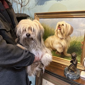 Lander Street Vintage - shih tzu - Used, Vintage & Consignment Near Me - Seattle, Washington Lander Street Vintage - shih tzu - Used, Vintage & Consignment Near Me - Seattle, Washington
