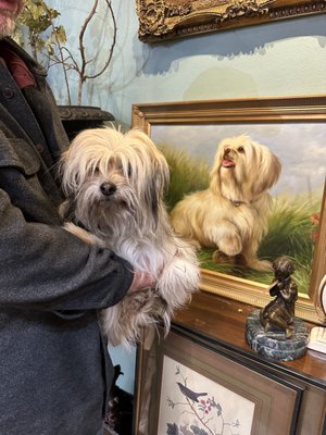 Lander Street Vintage by null