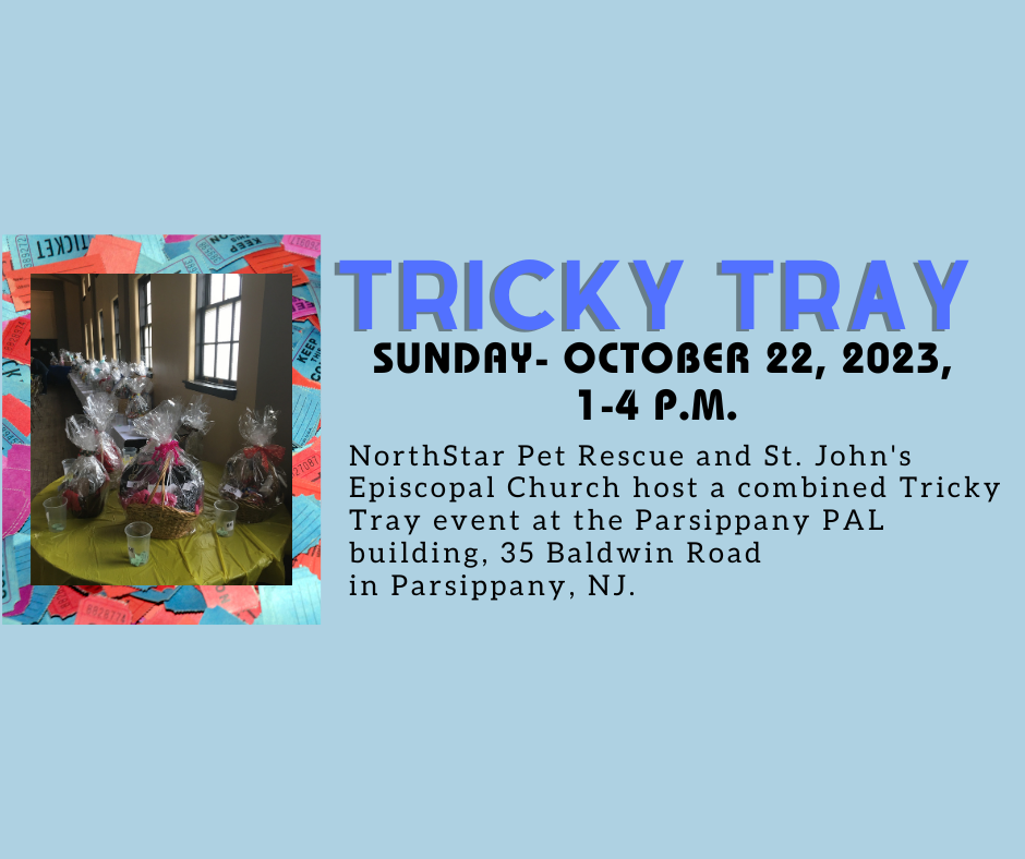 ST. JOHN’S CHURCH IN BOONTON Updated July 2024 11 Photos 226