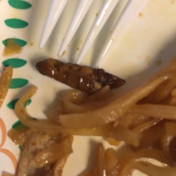 Greatest Thai Restaurant - Thai Near Me - Kent, Washington Greatest Thai Restaurant - Thai Near Me - Kent, Washington