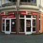 Photo of Steinecke's