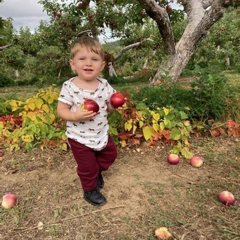 Libby & Son U-Pick - Pick Your Own Farms Near Me - Limerick, Maine