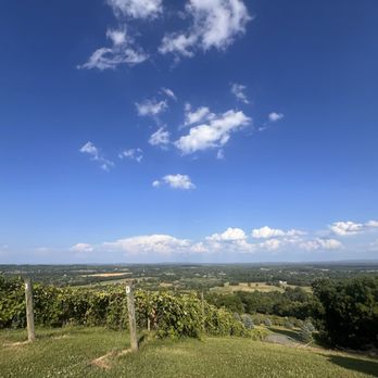 Bluemont Vineyard - This view tho - Venues & Event Spaces Near Me - Bluemont, Virginia