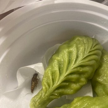Bund Dumpling House - Dim Sum Near Me - Astoria, New York
