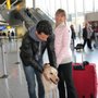 National Service Animal Registry