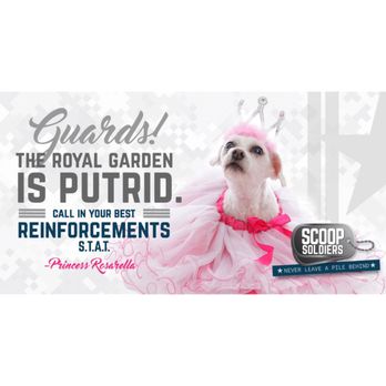 Scoop Soldiers - Pet Waste Removal Near Me Scoop Soldiers - Pet Waste Removal Near Me