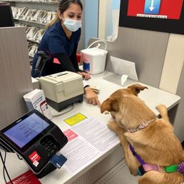 top notch service top notch service