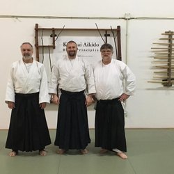 Aikido Kokikai South Everett