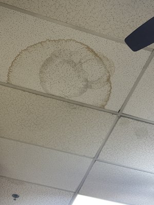 Brown's Chicken by null