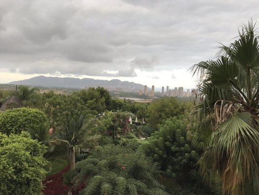 Asia Gardens by null