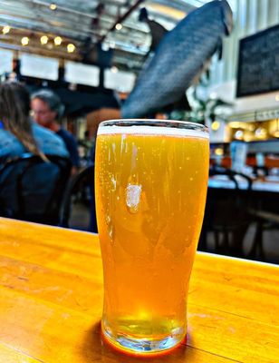 Water Street Oyster Bar by null