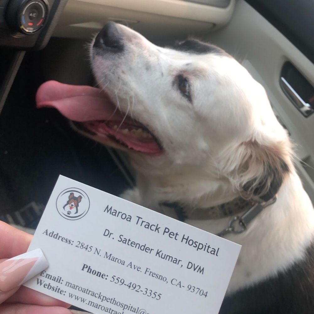 Maroa Track Pet Hospital - Veterinarians Near Me - Fresno, California Maroa Track Pet Hospital - Veterinarians Near Me - Fresno, California