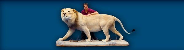 Fins To Feathers Taxidermy