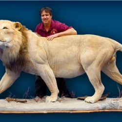 Fins To Feathers Taxidermy