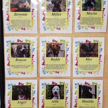 PetSmart - Opt To Adopt - Pet Stores Near Me - East Hanover, New Jersey PetSmart - Opt To Adopt - Pet Stores Near Me - East Hanover, New Jersey