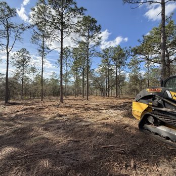 Price Cut Land Clearing - Excavation Services Near Me Price Cut Land Clearing - Excavation Services Near Me