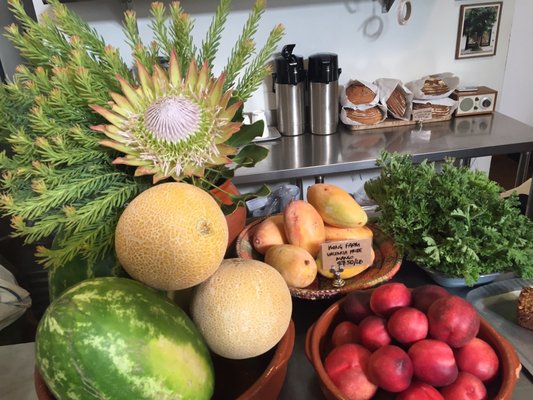 Cookbook Market - Echo Park by null Cookbook Market - Echo Park by null