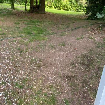 TruGreen Lawn Care - front yard - Tree Services Near Me - Acworth, Georgia
