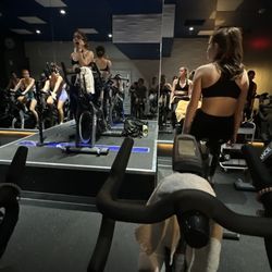 Body Balance - New cycle room