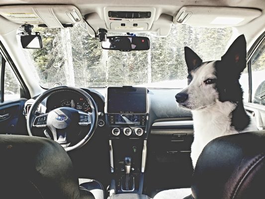 Lone Peak Taxi by null