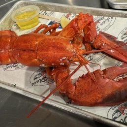 Steamed Lobster