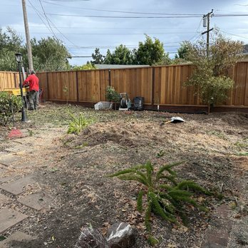 Cavara Tree Service - Tree Services Near Me - Redwood City, California