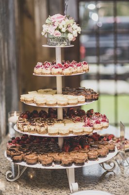 The Celia Jacobs Cheesecake Experience by null