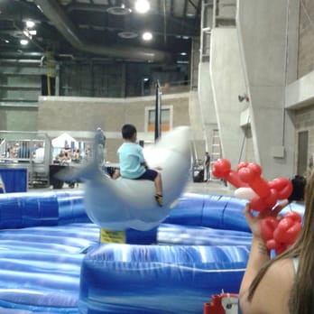 Shark-Con - Shark rides - Scuba Diving Near Me - Tampa, Florida