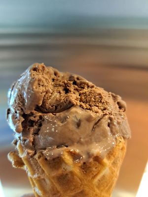 COWS Niagara-On-The-Lake by null