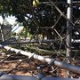 Photo of Fowler Reserve