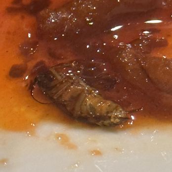 Great Wall Cuisine - It just drowned and was not even cooked. - Dim Sum Near Me - Phoenix, Arizona