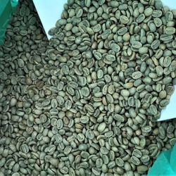 Murse Roasters - Where it begins!
