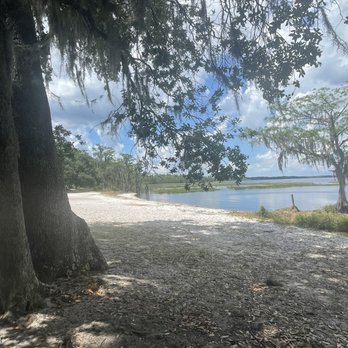 Lake Louisa State Park - Beach - Parks Near Me - Clermont, Florida