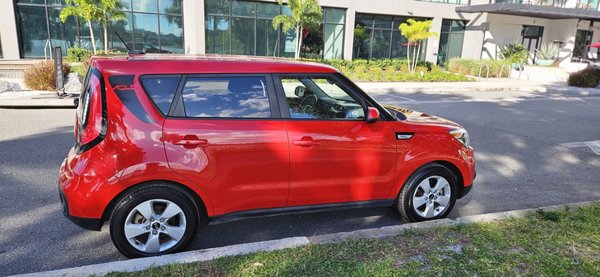 Octopus Car Wash by null