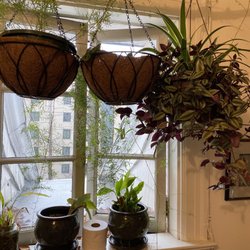 Art Work Rebels - Plants in the bathroom