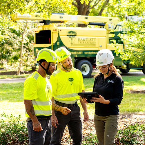 Bartlett Tree Experts - tree service in Eugene, OR