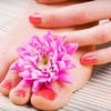 Lavish Salon Spa Boutique gift card