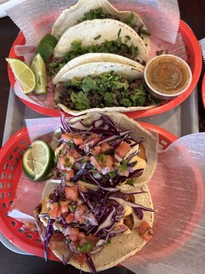 Taco-Tastic by null Taco-Tastic by null