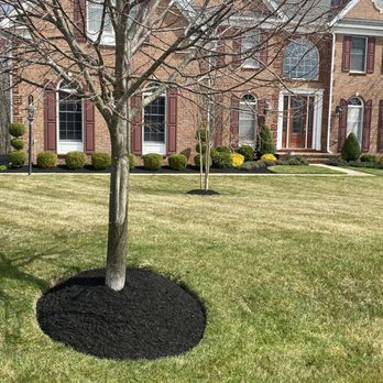 Rojas Landscape - a tree in a mulch bed in front of a house - Landscaping Near Me Rojas Landscape - a tree in a mulch bed in front of a house - Landscaping Near Me