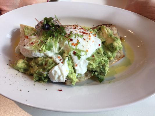 Sibling by Pushkin's by null