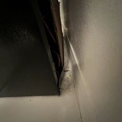 Magnum Appliances - Roach infestation that came with fridge. Obvious repairs and dents to "new" fridge