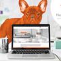 NextHome Platinum Advantage