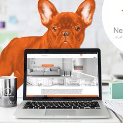NextHome Platinum Advantage - Follow the Orange Frenchie!