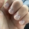 Bellagio Nail Spa gift card