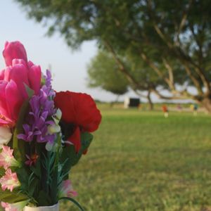 THOMAE-GARZA FUNERAL HOME - Updated March 2025 - 395 S Sam Houston Blvd ...