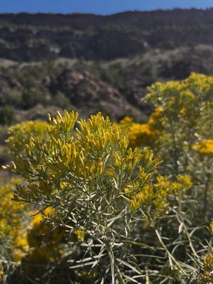 Río Grande del Norte National Monument by null
