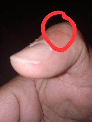 Tropicana Laughlin - A Caesars Rewards Destination by null