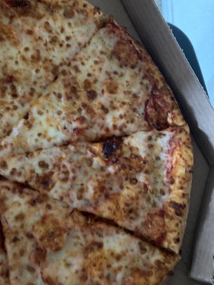 Domino's Pizza Logo